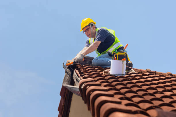 Best Roof Maintenance and Cleaning  in Sonora, CA